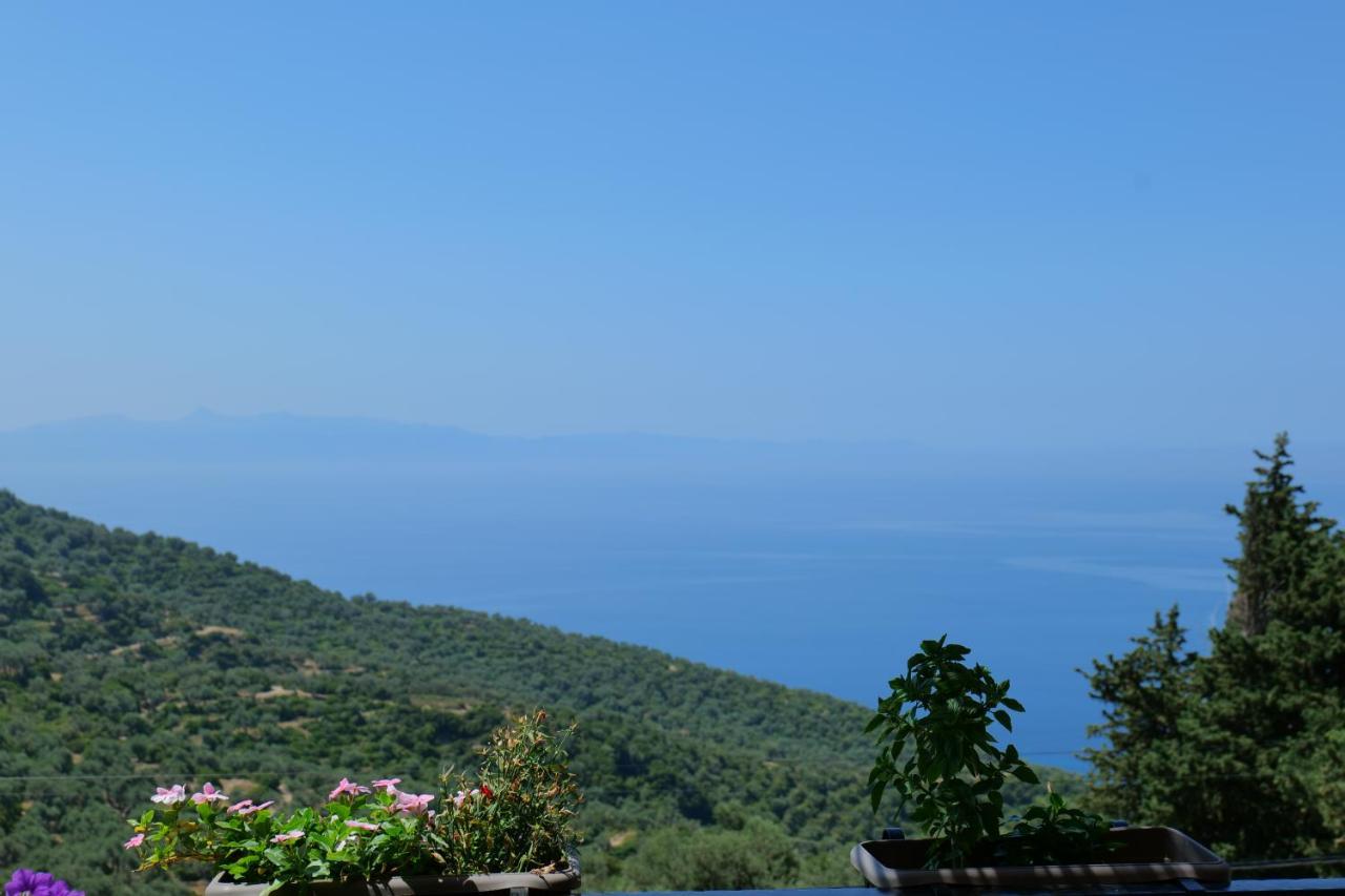 Vila Panorama Piqeras住宿加早餐旅馆 外观 照片